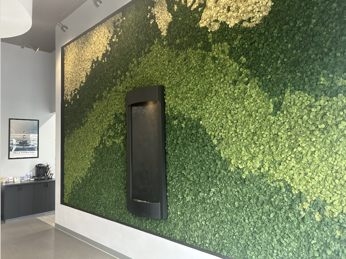 A green wall in an office with a phone on it.